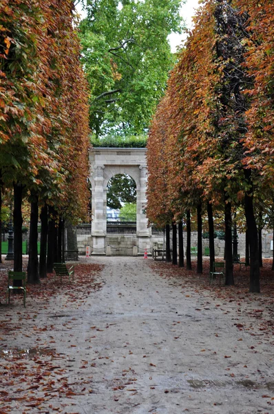 Aurumn en París — Foto de Stock