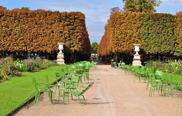 Aurumn en París — Foto de Stock