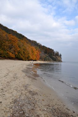 Gdynia sonbahar beach