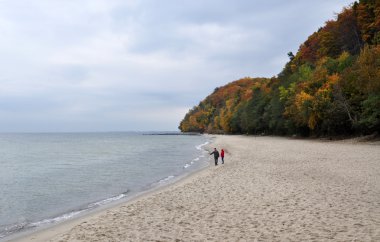Gdynia sonbahar beach