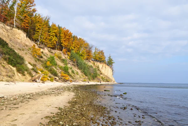 Autumn beach in Gdynia — Stock Photo, Image