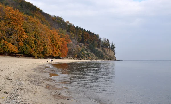 Autumn beach in Gdynia — Stock Photo, Image