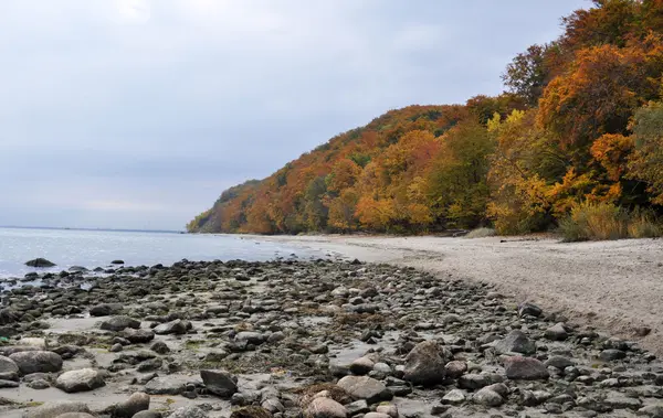 Autumn beach in Gdynia — Stock Photo, Image