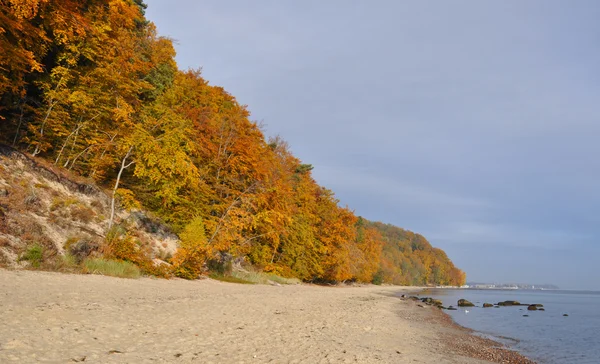 Sezon jesień nad Morzem Bałtyckim — Zdjęcie stockowe