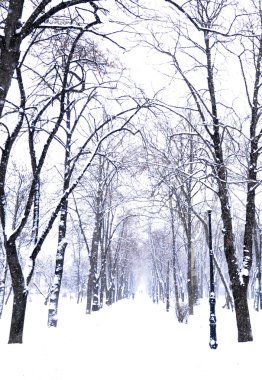 Winter park - kar yağışı
