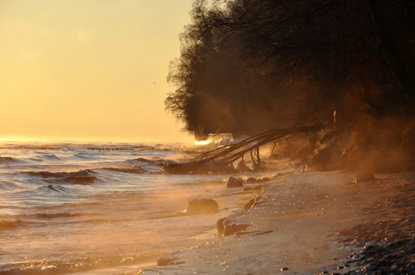 Ciel levant au-dessus de la mer Baltique en janvier en Pologne et arbre tombé gelé — Photo