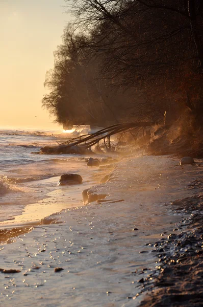 Cielo del amanecer sobre el mar Báltico en enero en Polonia y árbol caído congelado — Foto de Stock