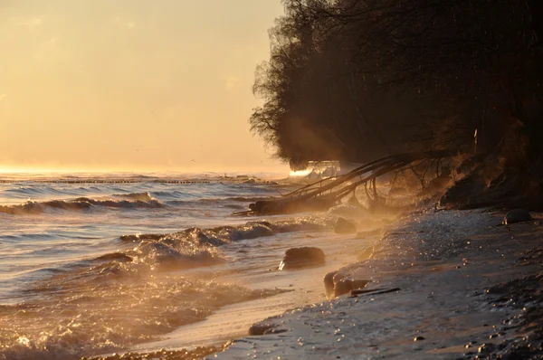 Cielo del amanecer sobre el mar Báltico en enero en Polonia y árbol caído congelado — Foto de Stock