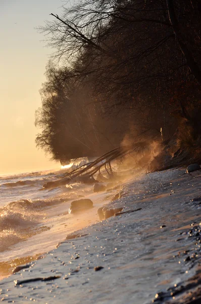 Cielo del amanecer sobre el mar Báltico en enero en Polonia y árbol caído congelado — Foto de Stock