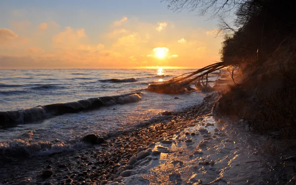 Salida del sol sobre el mar Báltico en enero en Polonia y árbol caído congelado —  Fotos de Stock