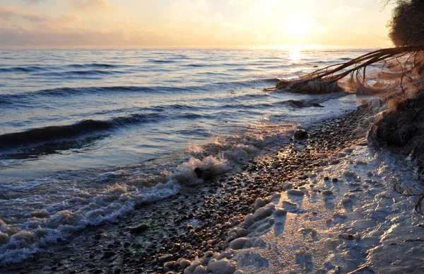 Salida del sol sobre el mar Báltico en enero en Polonia y árbol caído congelado — Foto de Stock