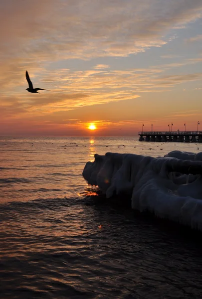 Hermoso paisaje marino de invierno en el norte de Polonia — Foto de Stock