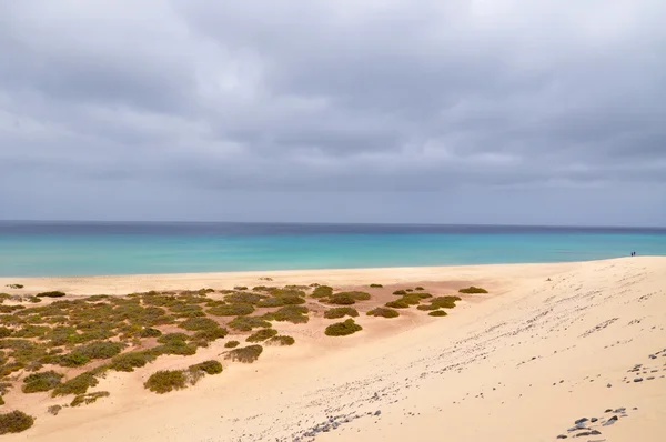 Fuerteventura island view — Stock Photo, Image