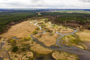Pilica Nehri ve Sulejowski Barajı 'nın durgun suları.