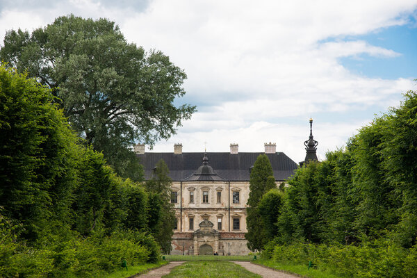 Вид с дороги на Подгорецкий замок, Украина
