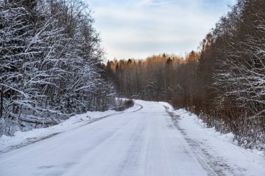  Bir kar yağışı sonrası temizlenen ormandan geçen kış yolu.