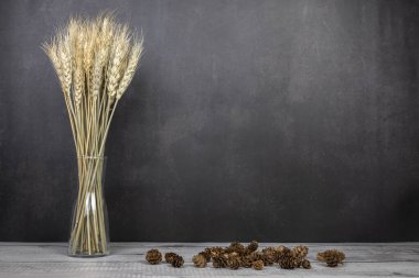 Gri arka planda küçük cam bir vazoda buğday kulakları, ve küçük konilerin yanında