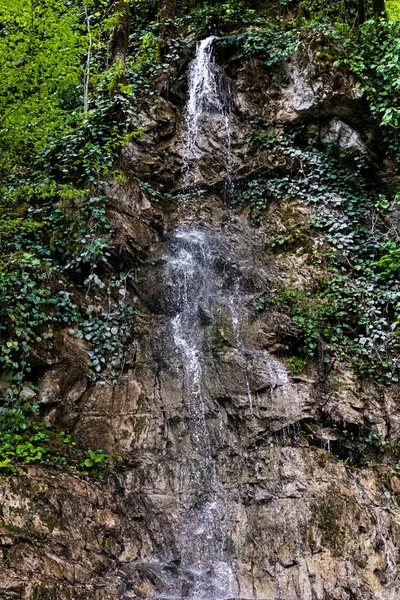 Мінеральна пружина Chvizhepse в Сочі. — стокове фото