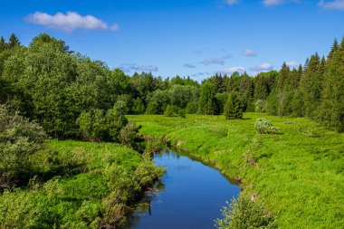 Küçük kıvrımlı nehir ormana doğru gidiyor.