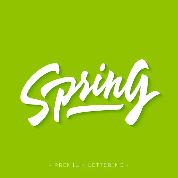 Palabra con letras de mano 'Primavera' — Vector de stock