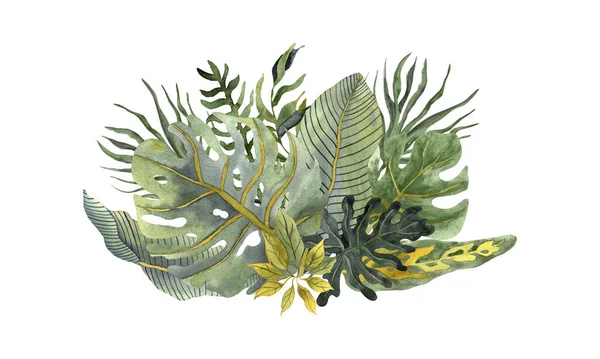 熱帯水彩画は白地に流行色で構図を残す モンステラの葉 バナナの葉 水色のアロカシア — ストック写真