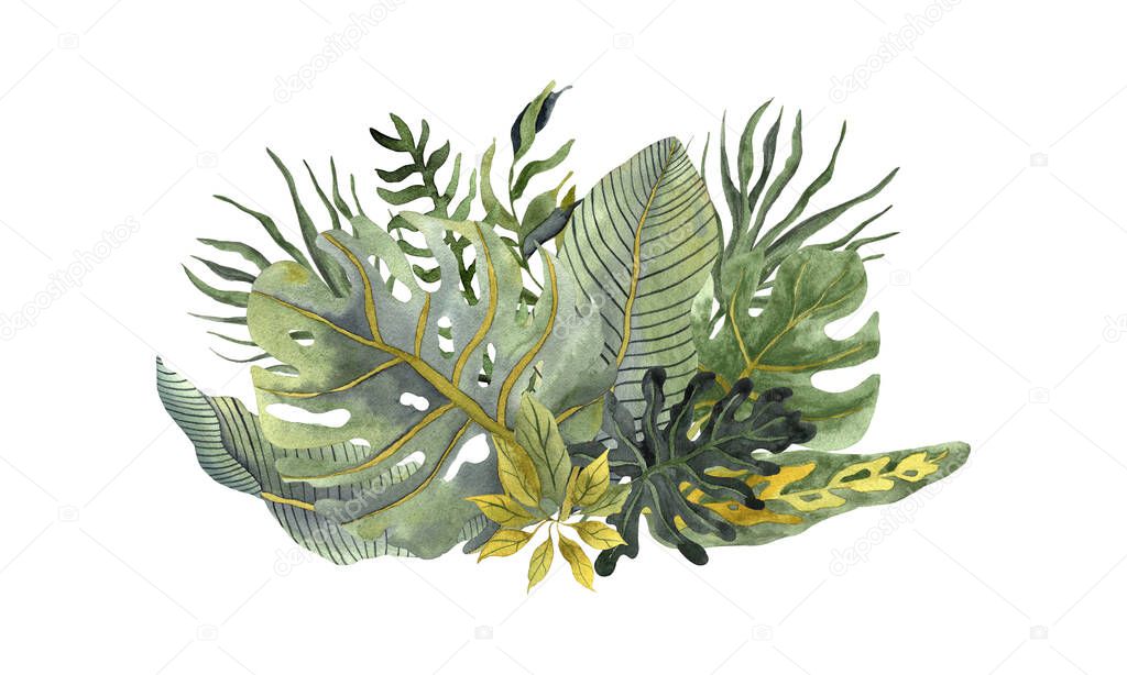 Tropical watercolor leaves composition in trendy colors on white background. Monstera leaves, banana leaves, alocasia in watercolour 