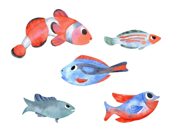 色彩艳丽的一组鱼在白色背景上被隔离 水底手绘彩色珊瑚鱼 — 图库照片#
