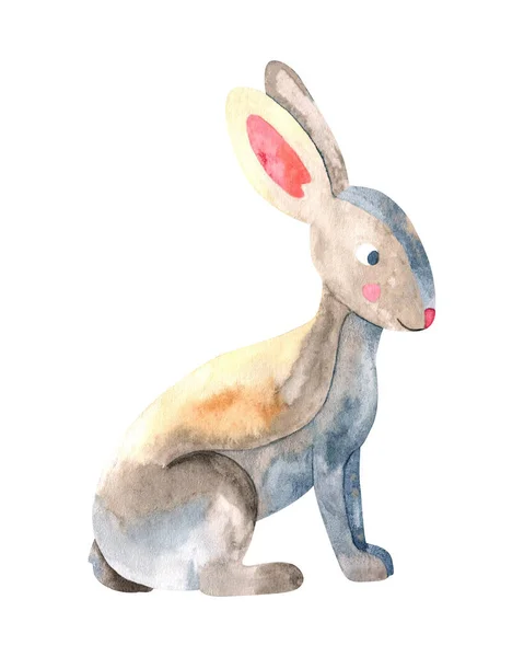 水彩兔在白色背景上被隔离 兔子水彩画手绘 — 图库照片