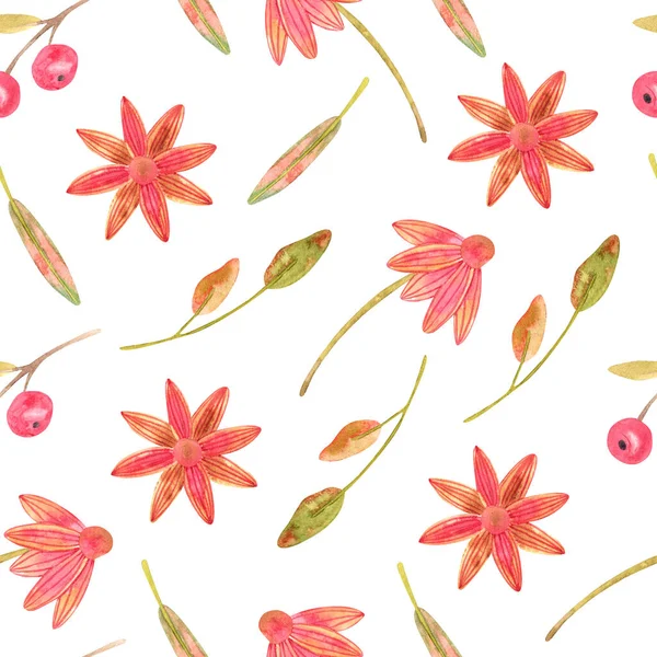 Akvarel Podzimní Květiny Bobule Bezešvé Vzor Červené Květy Listy Pozadí — Stock fotografie