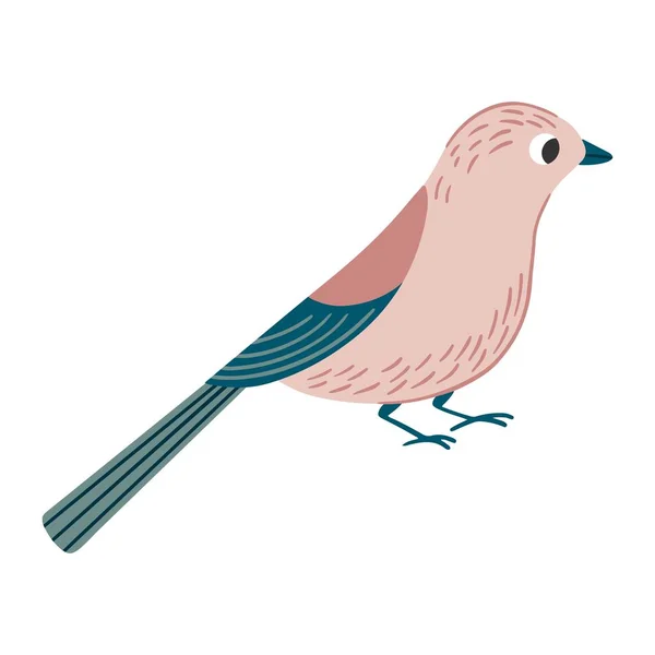 Illustration Vectorielle Oiseaux Style Dessin Animé Oiseau Geai Jardin Petit — Image vectorielle