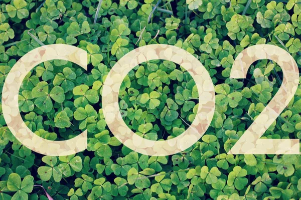 Fundo Verde Com Sinal Co2 Conceito Aquecimento Global — Fotografia de Stock