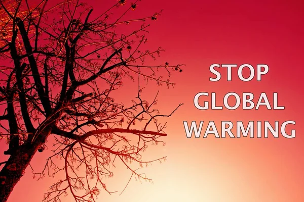 Cielo Rosso Con Albero Concetto Riscaldamento Globale — Foto Stock