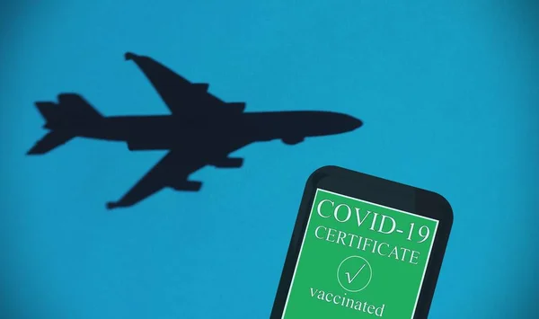 Yeşil Geçiş Belgesiyle Uçak Şekli Uluslararası Seyahat Için Yeni Sağlık — Stok fotoğraf