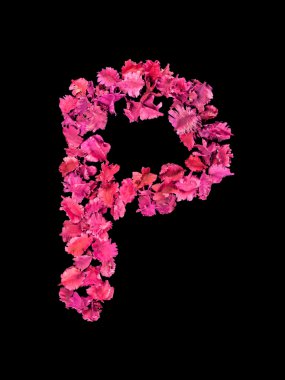 Kuru çiçek alfabe P