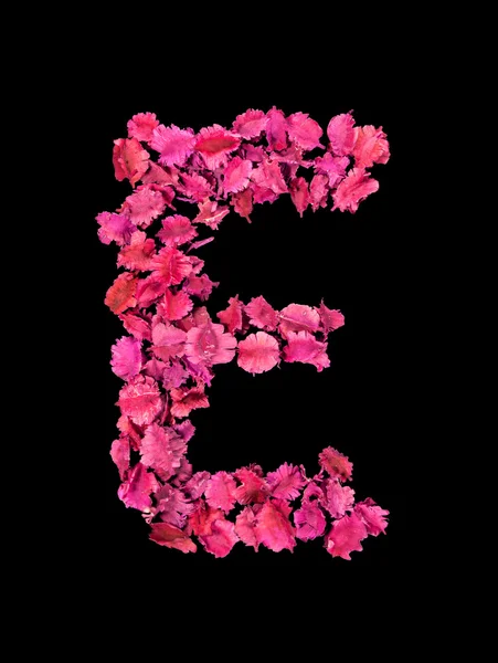Alfabeto de flor seca E — Fotografia de Stock