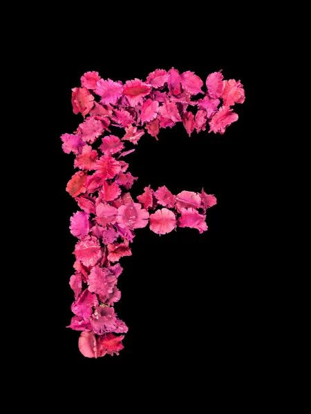 Alfabet bunga kering F — Stok Foto