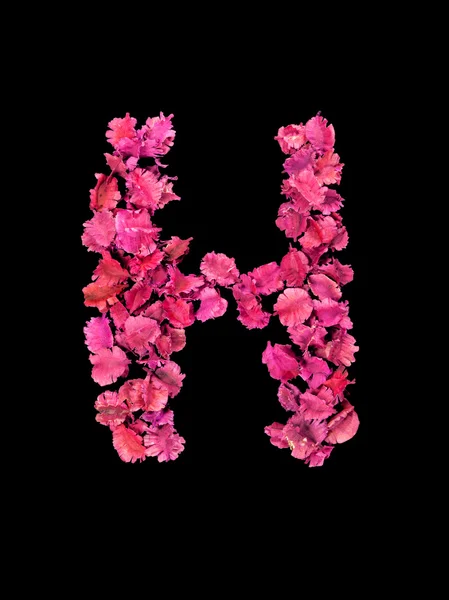 Alfabeto de flor seca H — Fotografia de Stock