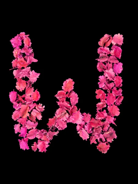 Alfabeto de flor seca W Imagens Royalty-Free