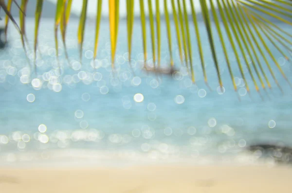 Blur tropical beach with palm leaf — Stock Photo, Image