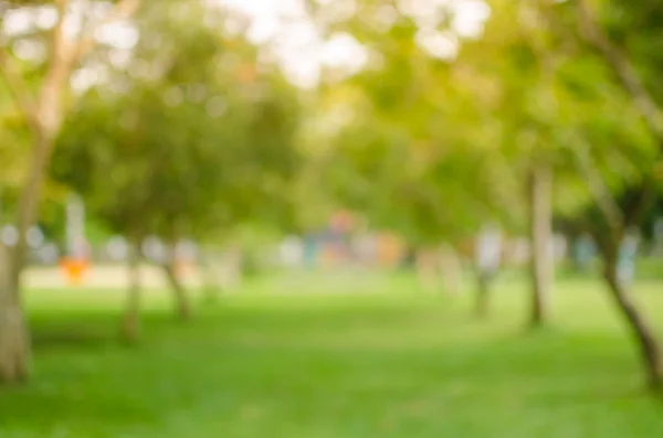 Natuur groen park achtergrond wazig. — Stockfoto