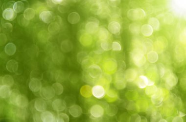 Yeşil doğa bokeh güneş ışık arka plan ile.