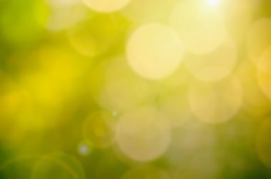 Yeşil doğa bokeh güneş ışık arka plan ile.