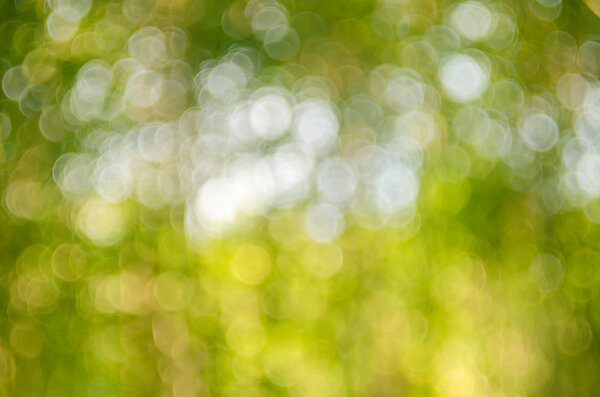 Зеленая природа боке с солнечным светом абстрактного фона
.