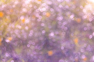 Yeşil doğa bokeh güneş ışık arka plan ile.