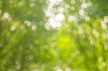 Doğa bokeh güneş ışık arka plan.