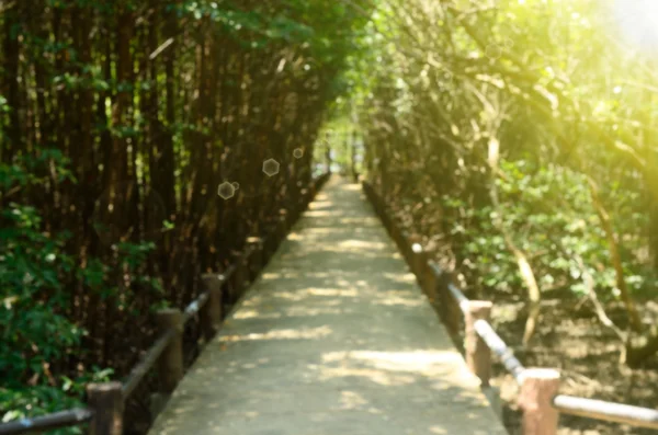 Blur walking road in nature park abstract background. — Stock Photo, Image