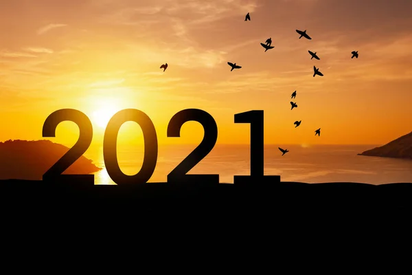 2021 Nieuwjaar Concept Met Vogels Vliegen Zonsondergang Hemel Achtergrond Tropisch — Stockfoto