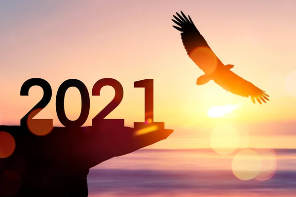 2021 Nieuwjaar Concept Met Adelaar Vogel Vliegen Zonsondergang Hemel Achtergrond — Stockfoto