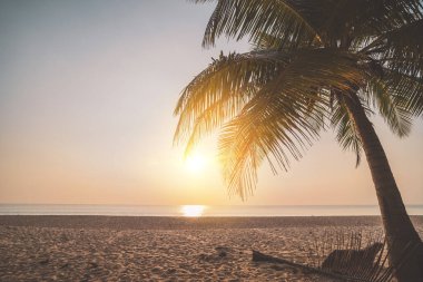 Günbatımında tropikal sahilde palmiye ağacı soyut arka planda. Yaz tatili ve doğa yolculuğu macera konsepti. Klasik ton filtre efekti renk biçimi.