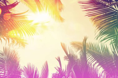 Günbatımında güneş ışığı olan tropik palmiye ağacı ve soyut bir arka plan bulutu. Yaz tatili ve doğa yolculuğu macera konsepti. Klasik ton filtre efekti renk biçimi.